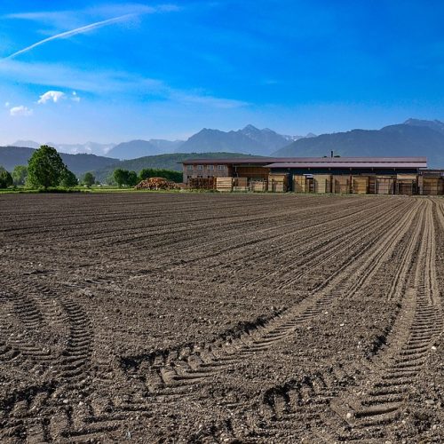 Saiba como “explorar” um terreno agrícola: principais formas