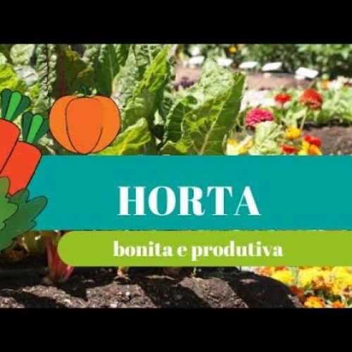 Como ter uma horta bonita e produtiva: 8 passos essenciais