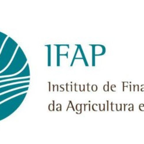 IFAP. Nova linha de crédito para tesouraria do sector agrícola já está criada