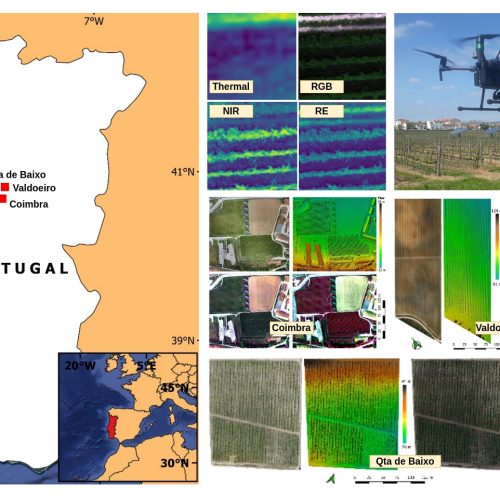 Cientistas da Universidade de Coimbra testam novos sistemas inteligentes de monitorização de vinhas