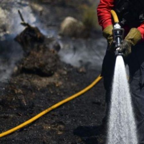 Até 31 de Julho arderam 1.589 ha de terrenos agrícolas. Área total ardida está 39,4% abaixo de 2020