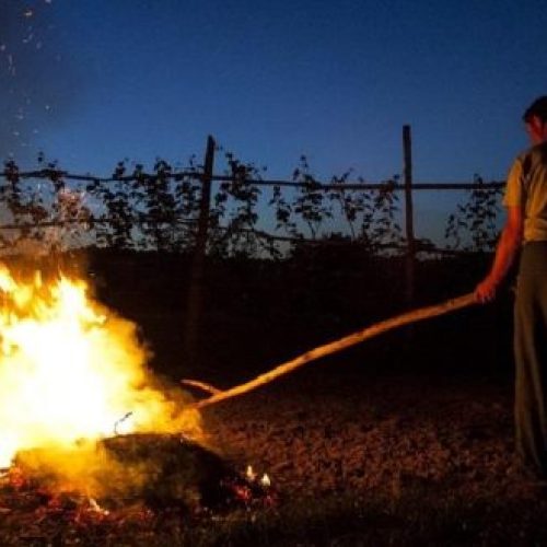 Atenção às queimadas. Sabe que pode ser preso? Trabalhos de manutenção e limpeza de caminho florestal podem levar a coima grave