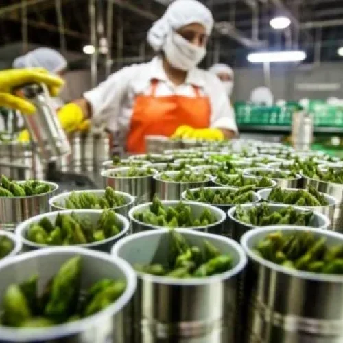 União Europeia absorve 66% das exportações da indústria alimentar e das bebidas