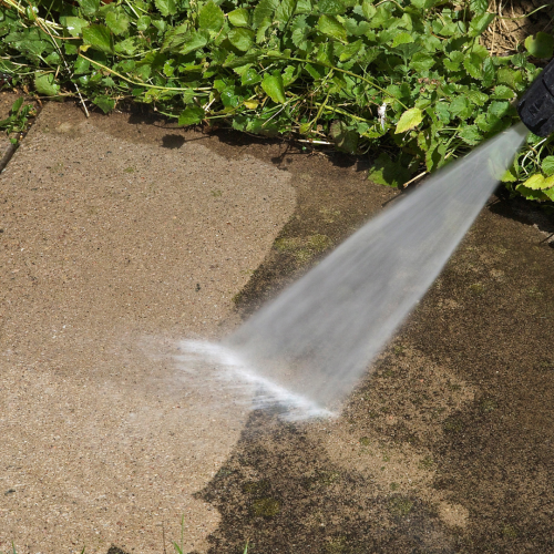 Limpeza e cuidados essenciais para desfrutar ao máximo do seu jardim