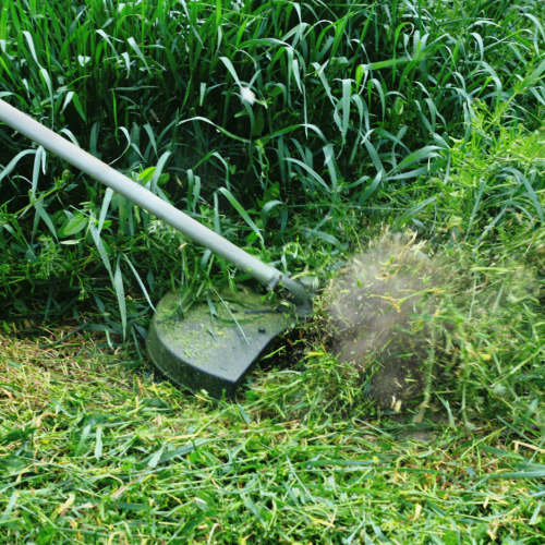 Como combater o crescimento selvagem da vegetação e fazer a limpeza dos terrenos