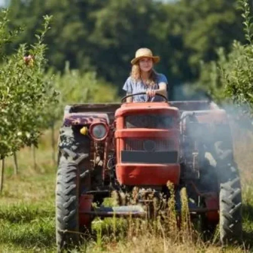 Empowering Women in Agrifood procura mulheres empreendedoras. Candidaturas até 24 de Maio