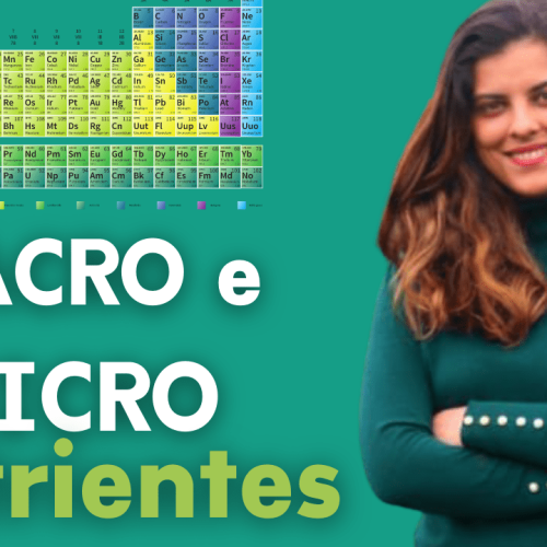 Saiba o que são macro e micro nutrientes e para que servem