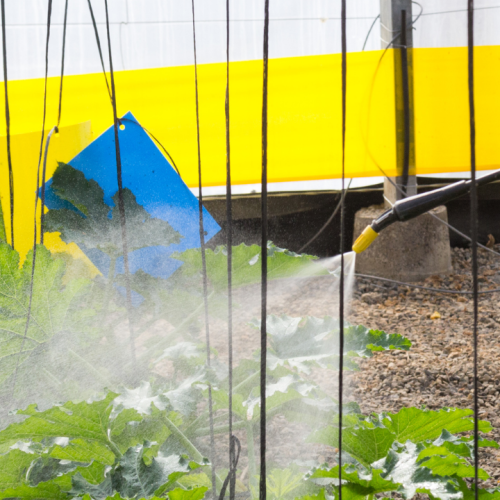 Tudo o que deve saber sobre a aplicação de bioestimulantes na agricultura