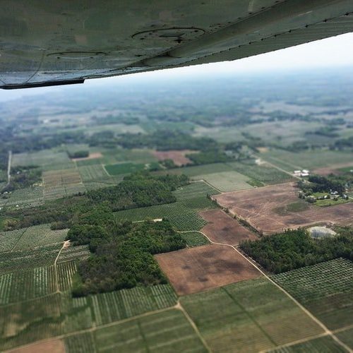 Sabe avaliar correctamente um terreno agrícola?-Dicas essenciais