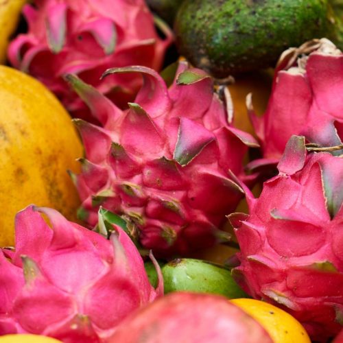 10 fruteiras tropicais para cultivar em Portugal