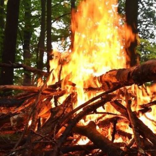 Fogos florestais: mudanças implementadas em Portugal após os trágicos incêndios de 2017 em análise na Universidade de Coimbra￼