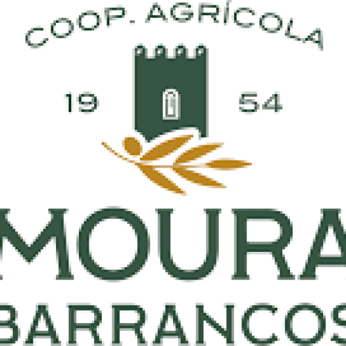 Cooperativa Agrícola de Moura e Barrancos contesta cortes no bloco de rega de Moura